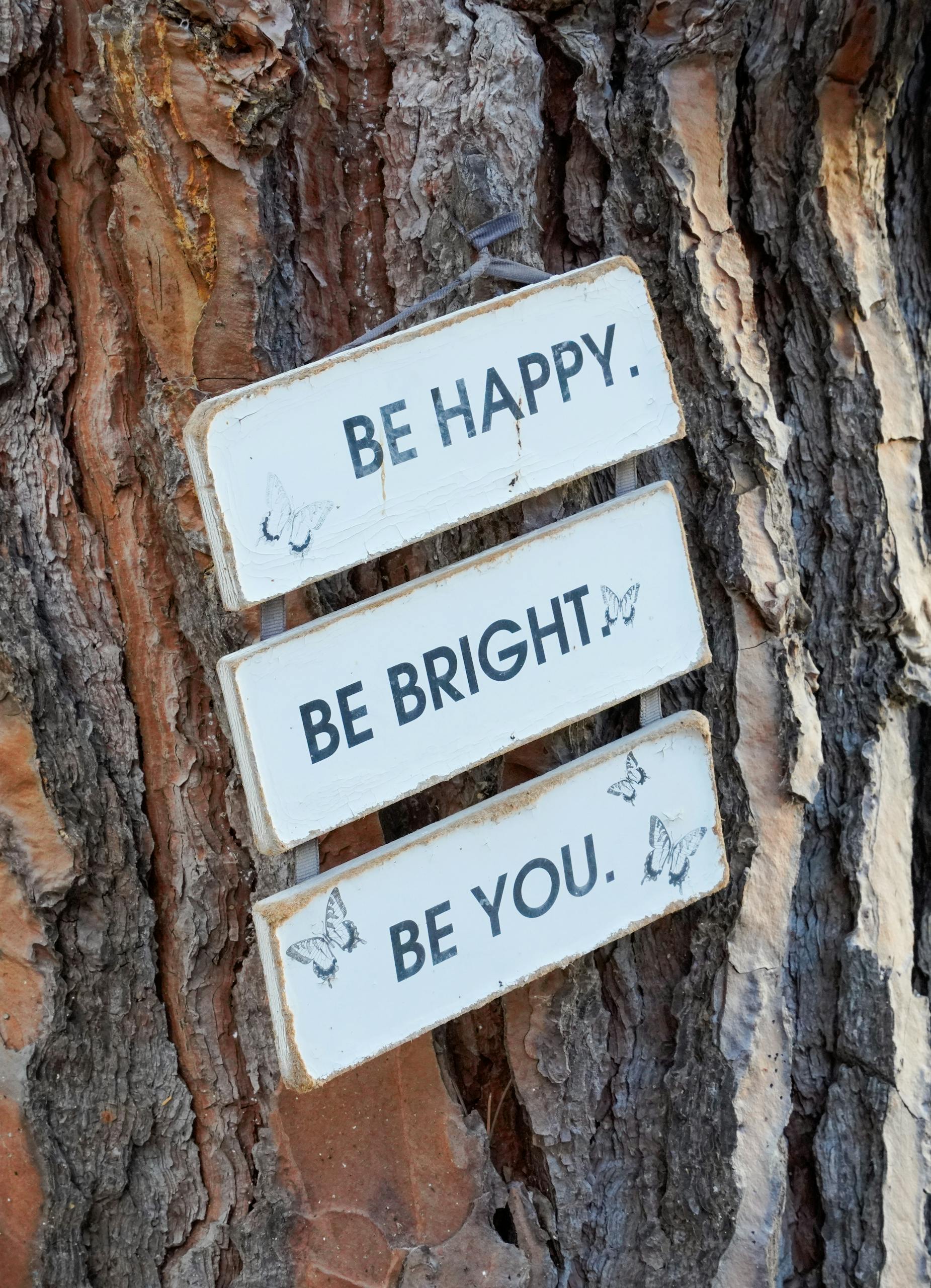 Close-up of a rustic tree with inspirational signs saying 'Be Happy, Be Bright, Be You.'